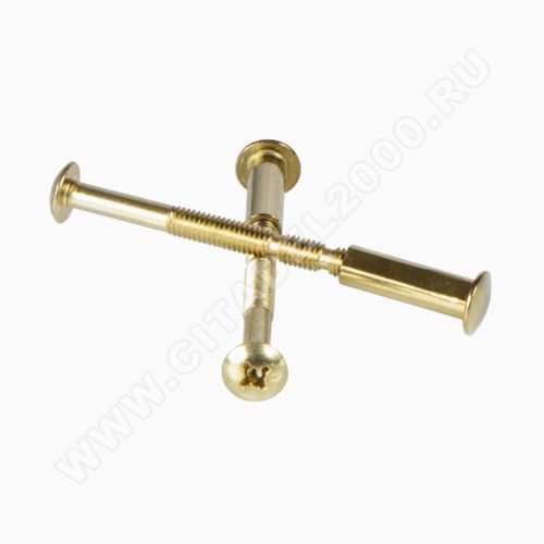 Стяжка винтовая SCR-M6-60(20)-G (2 шт.)  Апекс  под ручки на планке