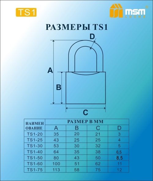 Замок навесной MSM TS1/25 Блистер