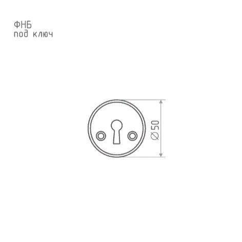 Н-М  Накладка под ключ ФНБ (золото)