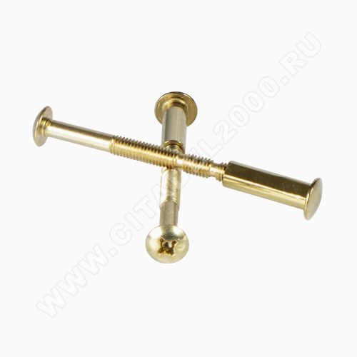 Стяжка винтовая SCR-M6-60(20)-G (2 шт.)  Апекс  под ручки на планке